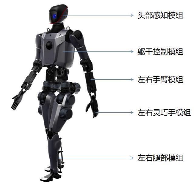 图片11.jpg