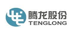 腾龙股份